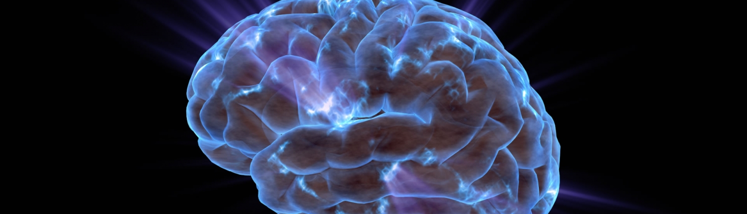 NLP Practitioner Sertifika Programı - biznlpakademi.com