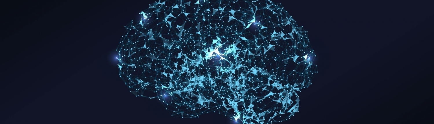 NLP Practitioner Sertifika Programı - biznlpakademi.com