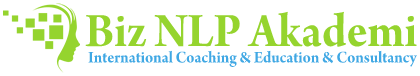 biznlpakademi.com