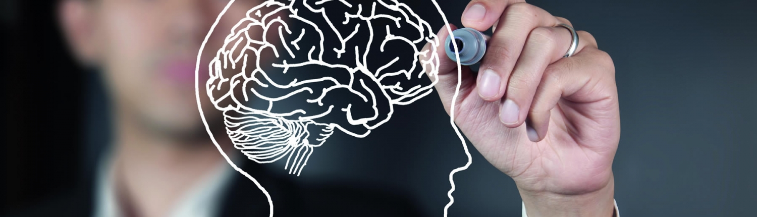 Hafıza Teknikleri Eğitimi - biznlpakademi.com